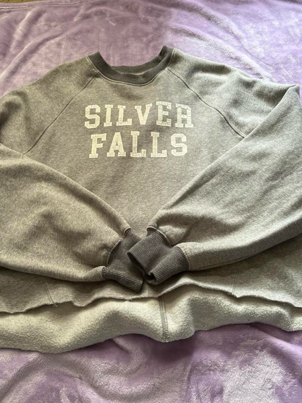 Arizona Jean Company Gray Crewneck Sweatshirt with SILVER FALLS Lettering